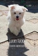 Lucky Tucky - RaffiP