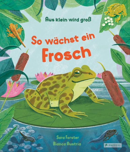 Aus klein wird groß. So wächst ein Frosch - Sara Forster, Bianca Austria