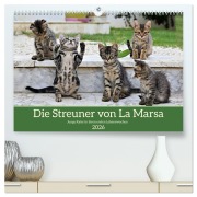 Cover-Bild zum Titel 'Die Streuner von La Marsa (hochwertiger Premium Wandkalender 2026 DIN A2 quer), Kunstdruck in Hochglanz' von 'Peter Hennrich'