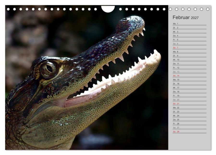 InsideView 7