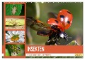 Insekten. Faszinierend und wichtig (Wandkalender 2025 DIN A2 quer), CALVENDO Monatskalender - Elisabeth Stanzer