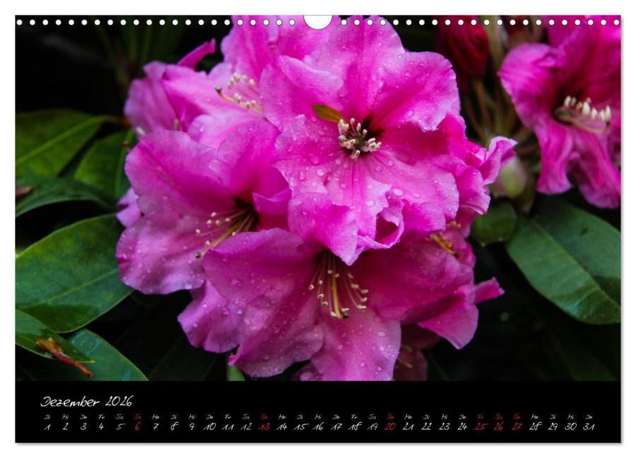 InsideView 4