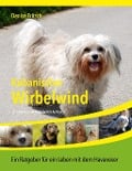 Cover-Bild zum Titel 'Kubanischer Wirbelwind' von 'Denise Fritsch'