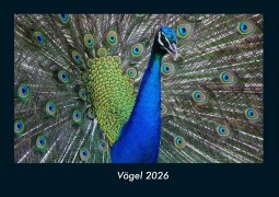 Cover-Bild zum Titel 'Vögel 2026 Fotokalender DIN A4' von 'Kevin Heber, Tobias Schmitt'