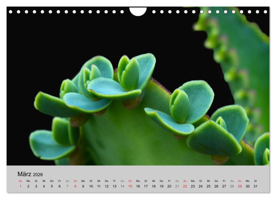 InsideView 8
