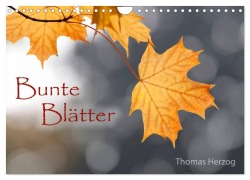 Cover-Bild zum Titel 'Bunte Blätter (Wandkalender 2026 DIN A4 quer), CALVENDO Monatskalender' von 'Www. Bild-Erzaehler. Com Herzog'