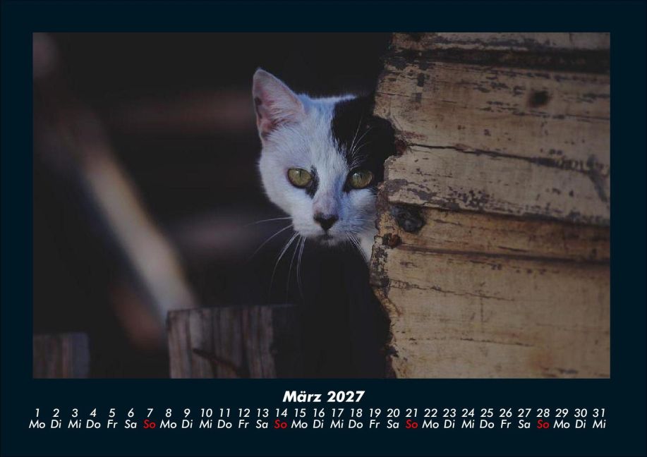 InsideView 7