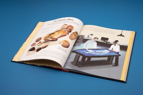 InsideView 5