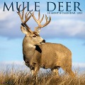 Mule Deer 2025 12 X 12 Wall Calendar - Willow Creek Press