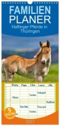 Cover-Bild zum Titel 'Familienplaner 2027 - Haflinger Pferde in Thüringen mit 5 Spalten (Wandkalender, 21 x 45 cm) CALVENDO' von 'Torsten Irmer'