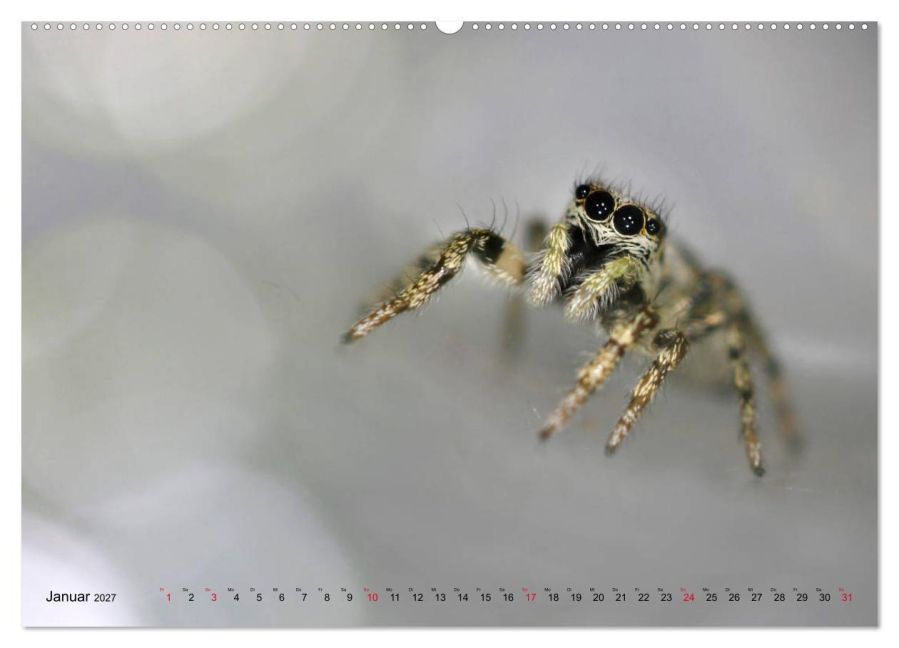 InsideView 6
