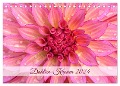 Dahlien-Kronen (Tischkalender 2024 DIN A5 quer), CALVENDO Monatskalender - Rainer Plett