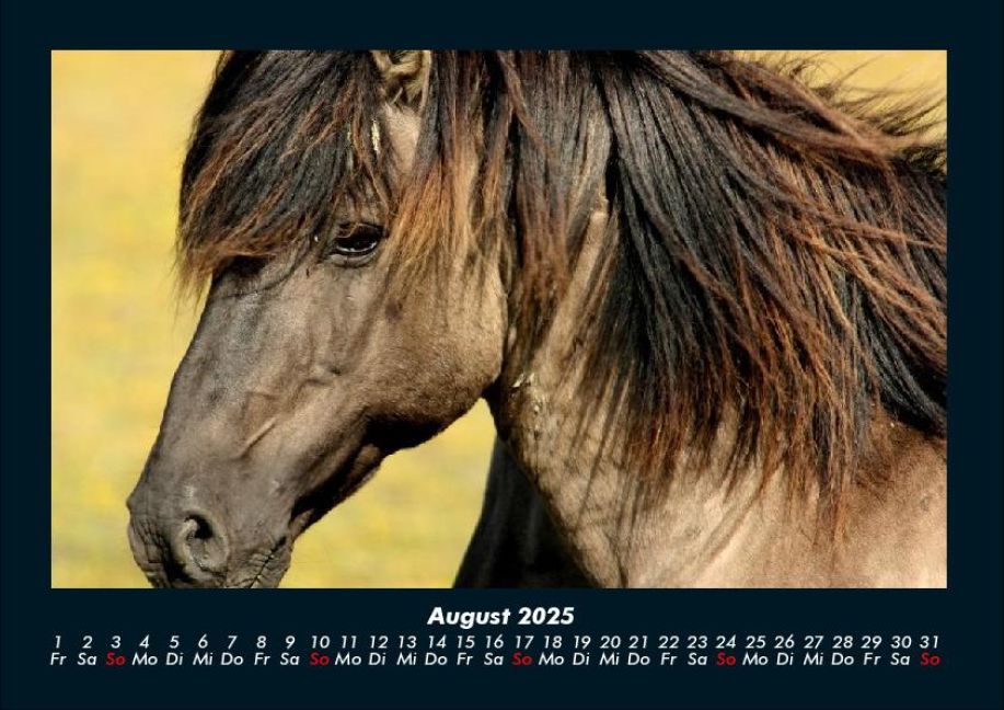 InsideView 12