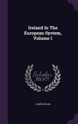 Ireland In The European System, Volume 1 - James Hogan