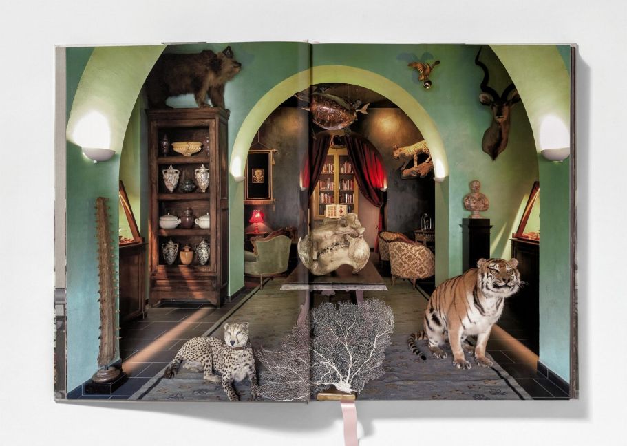 InsideView 3