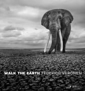 Cover-Bild zum Titel 'Walk the Earth' von 'Federico Veronesi'