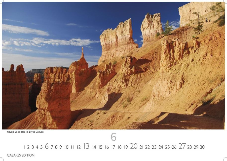 InsideView 6