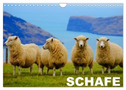 Cover-Bild zum Titel 'Schafe / Geburtstagskalender (Wandkalender 2026 DIN A4 quer), CALVENDO Monatskalender' von 'Elisabeth Stanzer'