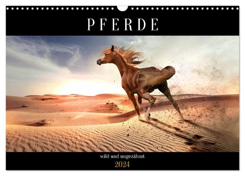Pferde - wild und ungezähmt (Wandkalender 2024 DIN A3 quer), CALVENDO Monatskalender - Renate Utz