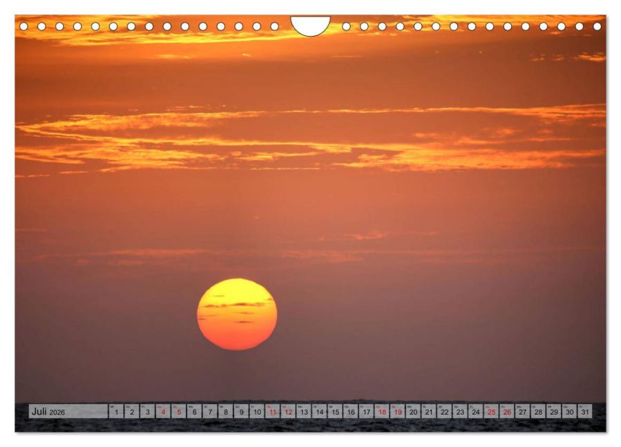 InsideView 12