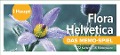 Cover-Bild zum Titel 'Flora Helvetica - das Memo-Spiel' von 'Haupt Verlag'