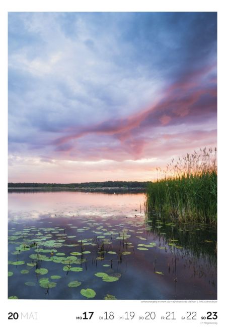 InsideView 21