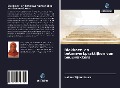 Cover-Bild zum Titel 'Blokkeer- en betonwerkpraktijken van bouwvakkers' von 'Halima Tijjani Kaura'