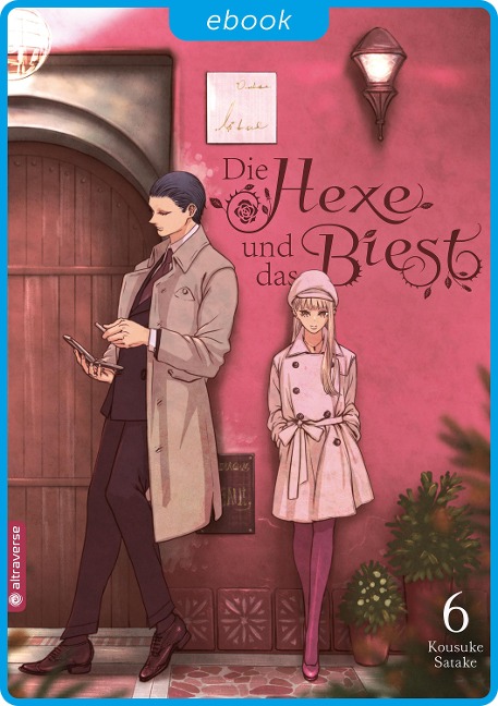 Die Hexe und das Biest 06 - Kousuke Satake