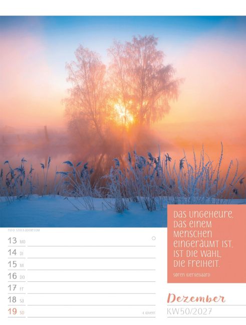 InsideView 54