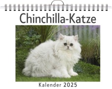 Chinchilla-Katze - Marie Neumann