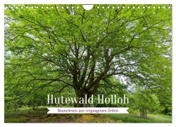 Cover-Bild zum Titel 'Hutewald Halloh - Baumriesen aus vergangenen Zeiten (Wandkalender 2027 DIN A4 quer), CALVENDO Monatskalender' von 'Ulrich Wolf'
