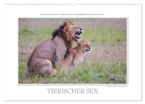 Emotionale Momente: Tierischer Sex. (Wandkalender 2024 DIN A2 quer), CALVENDO Monatskalender - Ingo Gerlach GDT