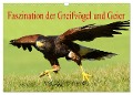 Faszination der Greifvögel und Geier (Wandkalender 2025 DIN A3 quer), CALVENDO Monatskalender - Erika Müller