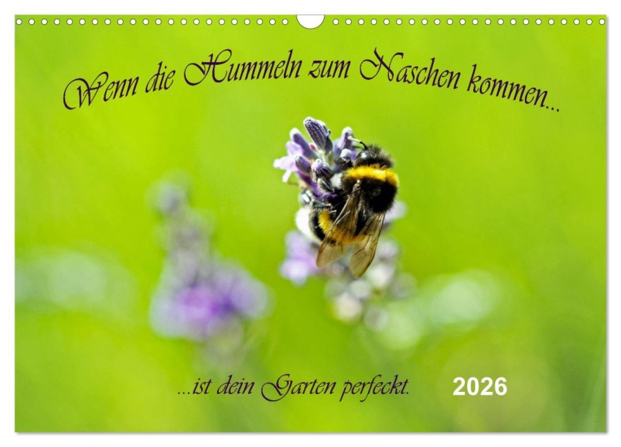 Wenn die Hummeln zum naschen kommen, ist dein Garten perfekt (Wandkalender 2026 DIN A3 quer), CALVENDO Monatskalender - Konstanze Junghanns