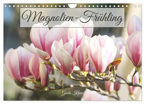 Magnolien-Frühling (Wandkalender 2024 DIN A4 quer), CALVENDO Monatskalender - Gisela Kruse