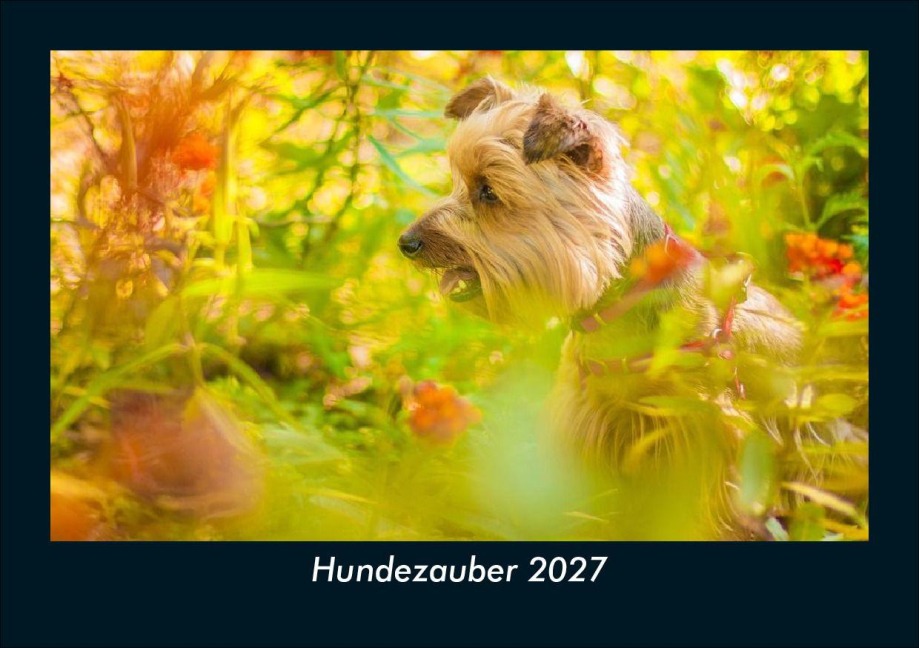 Hundezauber 2027 Fotokalender DIN A5 - Tobias Schmitt, Kevin Heber