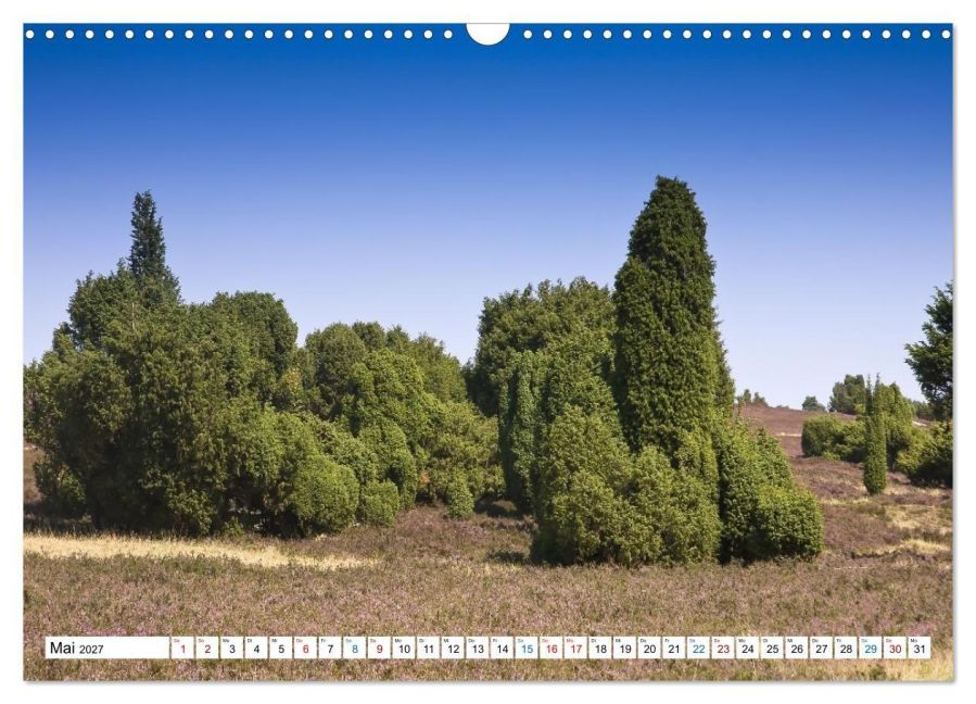 InsideView 10
