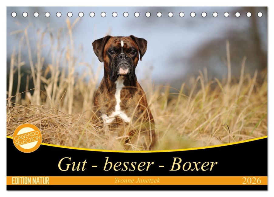 Gut - besser - Boxer (Tischkalender 2026 DIN A5 quer), CALVENDO Monatskalender - Yvonne Janetzek