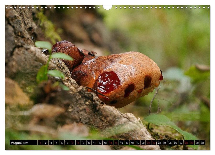 InsideView 13