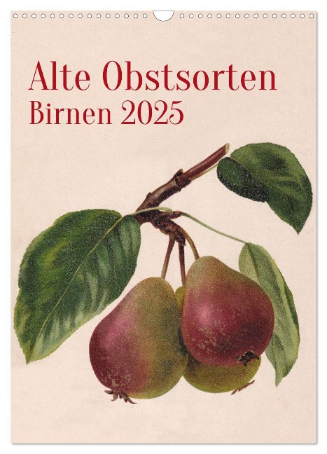 Alte Obstsorten - Birnen 2025 (Wandkalender 2025 DIN A3 hoch), CALVENDO Monatskalender - Neue Gablenzer Werkstätten und Verlag