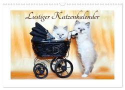 Cover-Bild zum Titel 'Lustiger Katzenkalender (Wandkalender 2026 DIN A3 quer), CALVENDO Monatskalender' von 'Jennifer Chrystal'