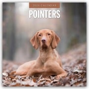 Pointers - Vorstehhund - Pointer 2026 - 16-Monatskalender - Robin Red