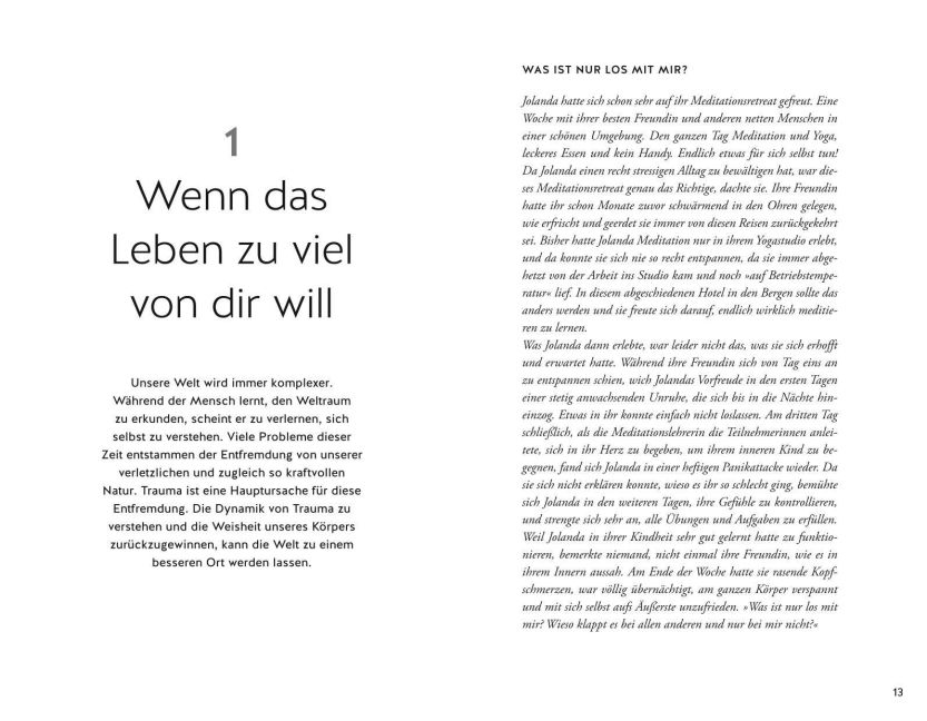 InsideView 2