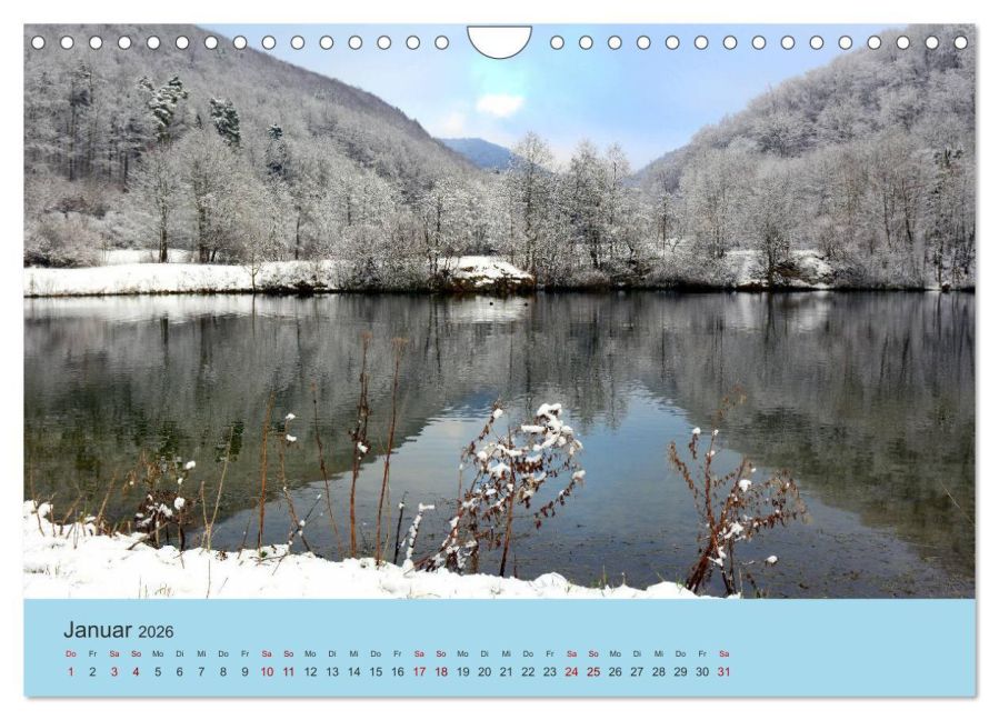 InsideView 6