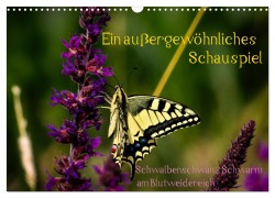 Cover-Bild zum Titel 'Ein außergewöhnliches Schauspiel (Wandkalender 2026 DIN A3 quer), CALVENDO Monatskalender' von 'Eva Ola Feix'