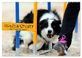 HUNDESPORT - Agility und Dog Frisbee (Wandkalender 2024 DIN A2 quer), CALVENDO Monatskalender - Constanze Rähse