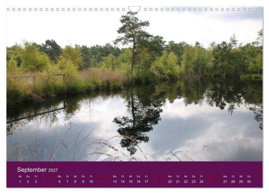 InsideView 14