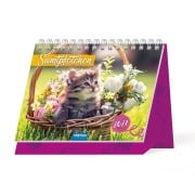 Cover-Bild zum Titel 'TRÖTSCH - Aufstellkalender Samtpfötchen 2027' von ''