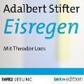 Cover-Bild zum Titel 'Eisregen' von 'Adalbert Stifter'