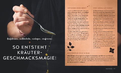 InsideView 13